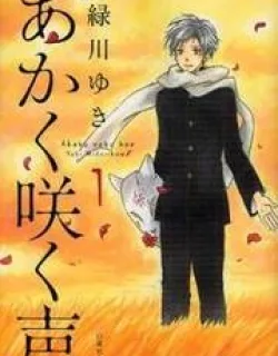Akaku Saku Koe