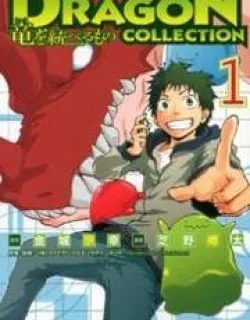 Dragon Collection – Ryuu o Suberumono