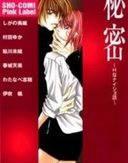 Himitsu – H na Naishobanashi