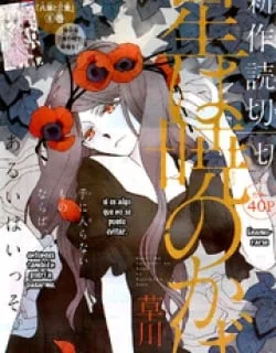 Hoshi Wa Akatsuki No Kage