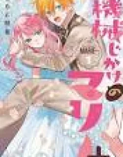 Kikaijikake no Marie +