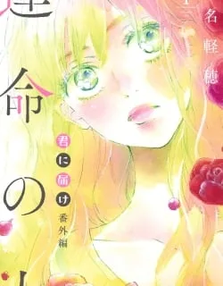 Kimi ni Todoke Special ～Soulmate～