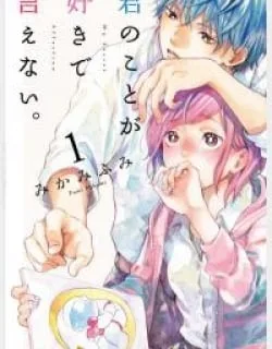Kimi no Koto ga Suki de Ienai