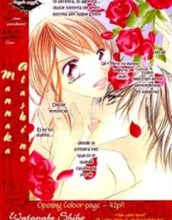 Koibana – Manga
