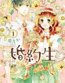 Konyakusei – Manga
