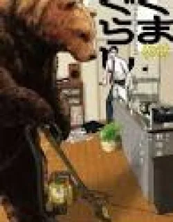 Kuma Gurashi