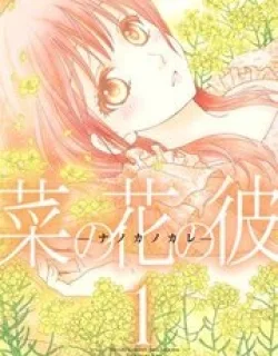 Nanohana no Kare
