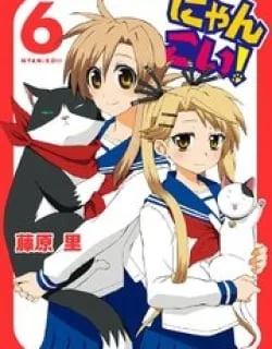 Nyankoi! – Manga