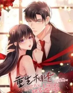 Rebirth Meeting: For You and My Exclusive Lovers