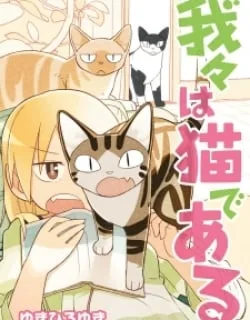 We are Cats